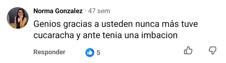 Captura del comentario de Norma Gonzalez en Facebook